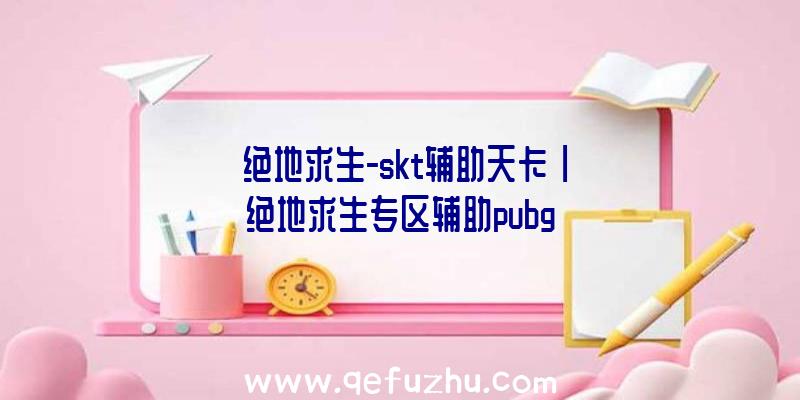 「绝地求生-skt辅助天卡」|绝地求生专区辅助pubg